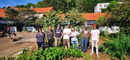 Equipe Sixmon - tournesols mammouth